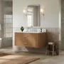 Wyndham Collection Francesca WM 48" Wall Mounted Single Basin Vanity Set with Cabinet and Quartz Vanity Top