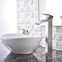 Royal Fall Tall Single Handle Faucet Brushed Nickel