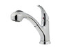 Price Pfister Shelton 1-Handle, Pull-Out Kitchen Faucet Chrome