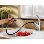 Price Pfister Shelton 1-Handle, Pull-Out Kitchen Faucet Chrome