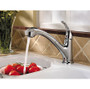 Price Pfister Shelton 1-Handle, Pull-Out Kitchen Faucet Chrome