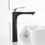 Royal LUXE Tall Single Handle Lav Faucet Black and Gold