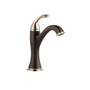 Brizo Charlotte 1.5 GPM Single Hole Bathroom Faucet