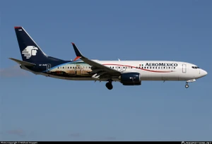 1/144 Scale Decal AeroMexico 737-800  Samsung Galaxy S8