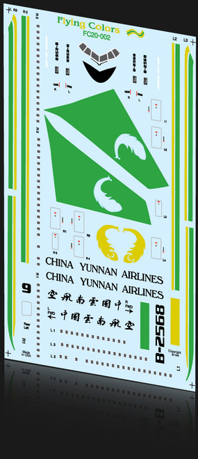 1/200 Scale Decal China Yunnan 767-300