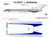 1/144 Scale Decal Northwest 727-200