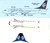 1/200 Scale Decal Air New Zealand 737-300