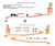 1/72 Scale Decal Jersey European BN Islander