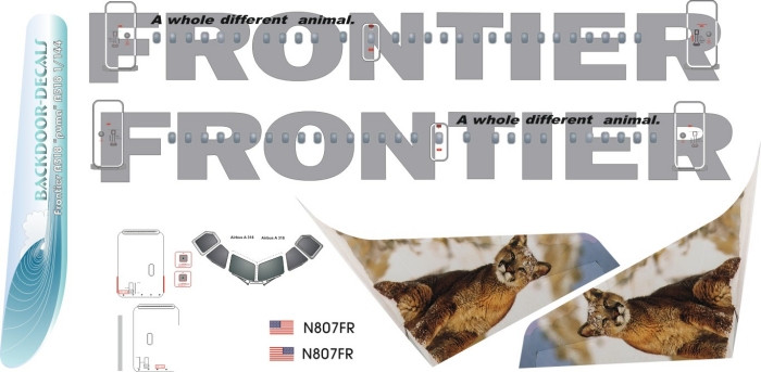 1/144 Scale Decal Frontier A-318 Cougar