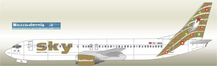 1/144 Scale Decal Sky 737-400 GOLD