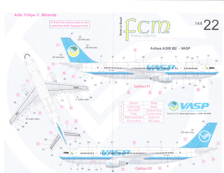 1/144 Scale Decal VASP A-300/B2