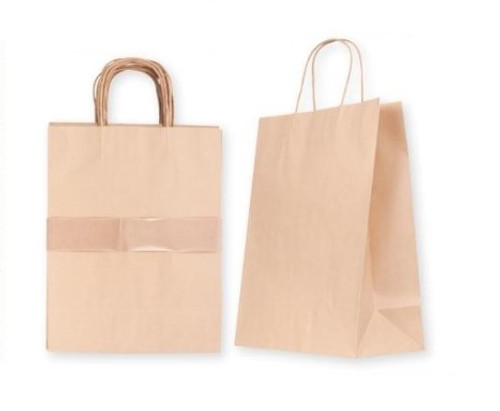 Paper Bag with Handle - Medium - set of 10