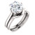 3.00CT Custom Solitaire 14Kt White Gold Crown Setting With Matching Band