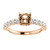 Octavia Engagement Ring With Your Choice of Center Stone Shape & Carat Weight