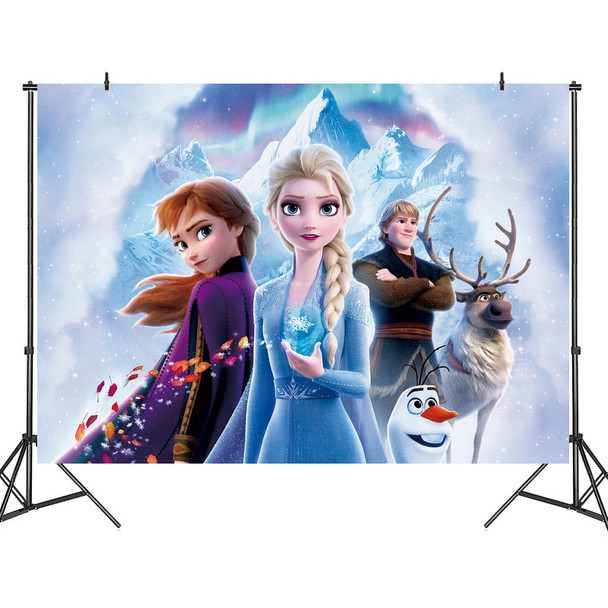 Frozen themed vinyl backdrop