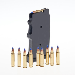 22WMR17HMR 455/512 CZ10RD PLASTIC