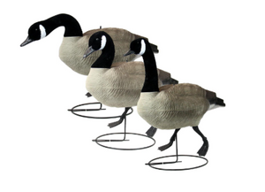 CANADA GOOSE FULL BODY FLOCKED X6 DECOYS CANADA GOOSE FULL BODY FLOCKED X6 DECOYS