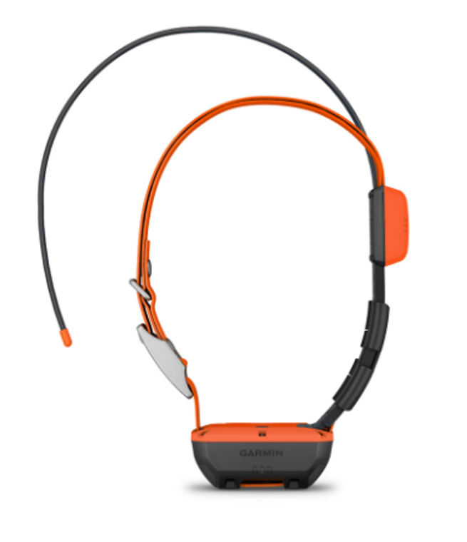 Alpha® T 20 Dog Collar