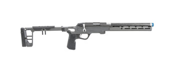 Disco Chicken .22LR  12.5"