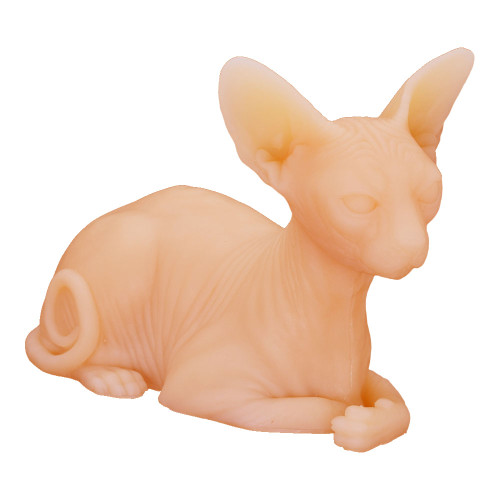 Silicone Cat - Practice Skin