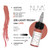 Nuva Colors - Lip Collection Set - 8 x 15 ml / 0.5 oz