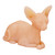 Silicone Cat - Practice Skin