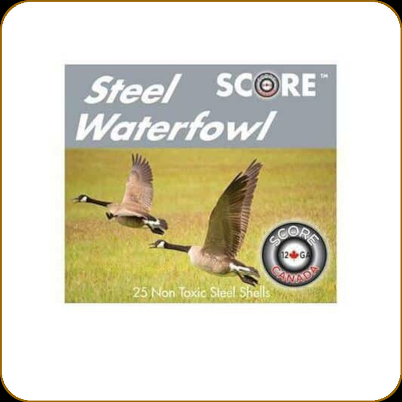 Score - 12 Ga 3
