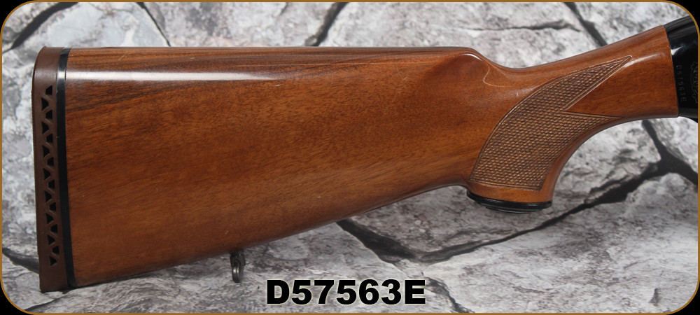 TART ブラウン JULIUS TART OPTICAL / AR / ブリッジ:22mm / Brown Gradient