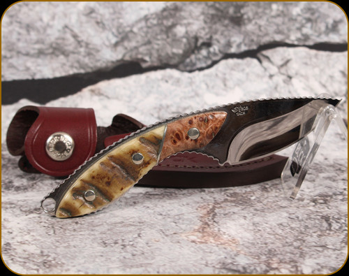 Consign - Buck Knives - Custom Mini Alpha Hunter - Limited Edition - Fixed Blade Knife - Satin Drop Point - Maple w/Sheep Horn Handle, ATS 34 Stainless Steel, 2.75"Blade - in leather belt sheath