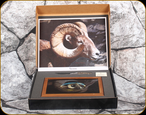 Consign - Browning - Model 406 Rocky Mountain Bighorn Sheep Full Curl Series Limited Edition - Genuine sheep horn handle/stainless steel, 3 1/4"blade, c/w color lithograph, display box - in orig.box