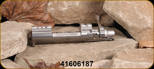 Defiance Actions - AnTi - Short, .550 - Magnum Bolt Face, Aircraft-grade 416 stainless steel receiver/4340 chrome moly bolt, 20 MOA Two-Piece Rail, S/N 41606187