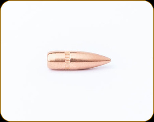 CamPro - 224 Cal (.223 Cal) - 55 Gr - Full Metal Jacket Spitzer Boat Tail - 500ct - CP2-22455SBT-2