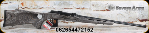 Savage - 22LR - Model A22 Target - Semi-Auto Rimfire Rifle - Grey Laminate Thumbhole Stock w/Vented forend/Blued Finish, 22" Heavy Barrel, Mfg# 47215