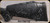 Used -  Fierce - 7mmRM - Ti Edge - Black w/Grey Web/Titanium Cerakote, 24"Fluted Barrel c/w Muzzle Brake, Limbsaver Recoil Pad