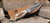 Lamoureux and Sons - Matapedia Hunting Knife - 4" Blade - Stainless Steel CPM-S30V - Deer Antler Handle - LS-MATAP-03