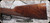 Winchester - 405Win - Model 1895 High Grade - Lever Action w/Box Magazine - Grade III/IV Walnut Straight grip stock/Gloss blued finish, 24"Button rifled Barrel, Marble Arms gold bead front-buckhorn rear sight, Mfg# 534286154, S/N 00011YV95G