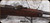 Consign - Carcano - 6.5x52Carcano - M-91 Calvary - Wood Stock/Blued Finish, 20"Barrel, Bayonet, 5 brass clips, 20pcs brass, only 20rds fired since removed from cosmoline, - 2boxes PPU 139Gr ammo available from seller - contact store for details