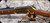 Consign - Winchester - 30-30Win - Model 1894 Comanche Carbine - Walnut/Brass Receiver & Trigger Guard/Blued, 20"Barrel, made in 1975,  S/N CC10633 - Medallion is loose - Unfired, In original box