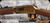 Consign - Winchester - 30-30Win - Model 1894 Sioux Carbine - Walnut/Brass Receiver & Trigger Guard/Blued, 20"Barrel, made in 1976, S/N SU03567 - unfired In original box
