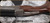 Consign - Browning - 12Ga/2.75"/34" - BT-99 Max - Grade AAA Walnut Adjustable Stock/Nickel Receiver w/Gold Accents/Blued, Ported Barrel, c/w 4 chokes - in Browning fitted leather hard case