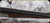 Consign - Suhl - 16Ga/2.75"/27.5" - SxS - Grade AA Dark Oil Finish Walnut/Scalloped Game Scene Engraved Receiver/Blued Barrels