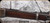 Consign - Winchester - 44-40WCF - Model 1892 Saddle Ring Carbine - Lever Action, Walnut Stock/Blued/Antique Finish, 20"round barrel, Hammer does not cock when lever is used, still fires when hammer is pulled back manually