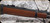 Winchester - 45Colt - Model 1873 Competition Carbine High Grade - Grade III/IV Black Walnut Stock/Case Hardened Receiver/Blued, 20"Barrel, Saddle Ring, 10rd Tubular Magazine, Mfg# 534280141, S/N 00105YW73D