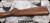 Consign - Remington - 410Ga/3"/25" - Model 870LW Wingmaster - Grade AA Walnut Stock/Blued Finish, Fixed Skeet Choke