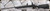 Consign - Mauser - 25-06Rem - Corlanes Custom Mauser 98 - Black w/Grey Web McMillan Stock/Mauser Action/Gunmetal Grey Cerakote, 24"Fluted Shilen Barrel, Timney Trigger, Talley rings - 4 rounds fired