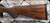 Springfield Armory - 22LR - Model 2020 Rimfire Classic - Bolt Action Rifle - Grade AA Walnut Stock/Blued Finish, 20" Sporter Contour Barrel, Interrupted Picatinny Mount, Mfg# BARC92022GAA, S/N TH47124C02639