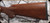 Consign - Ruger - 204Ruger - No. 1V Varminter - Select Walnut Stock w/Semi-Beavertail forend/Blued Finish, 26"Barrel, c/w Leupold FX-III, 12x40mm, fine duplex reticle - in orig.rifle box - less than 100rds fired
