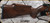 Anschutz - 22LR - 1712 Silhouette Sporter - Walnut Monte Carlo Stock w/Schnabel Forend/Blued, 22"Barrel, two-stage trigger, Mfg# 007594, S/N 3210981