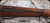 Consign - Springfield Armory - 30-06Sprg - M1 Garand - Lend Lease, Wood Stock/Blued, 23" Barrel, Mfg.Jan 1943 - c/w (10)Enblock clips, Danish Bayonetm, US Army Nylon Ammo pouches - in black soft case