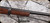 Consign - Winchester - 30-06Sprg - Model 1895 Carbine - Walnut Stock w/military style top handguard/Blued Finish, 24"Round Barrel, Lyman peep sight, Mfg.1922